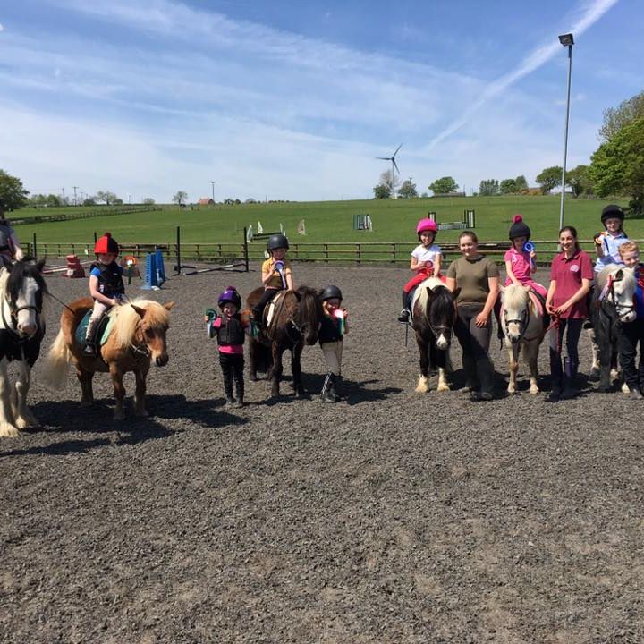 Gallery Field House Equestrian Centre