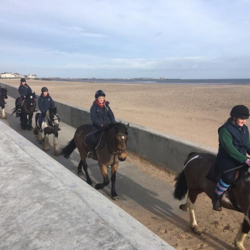 Gallery Field House Equestrian Centre