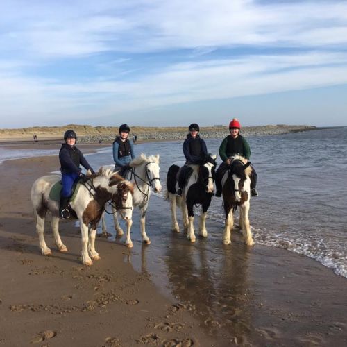 Gallery Field House Equestrian Centre