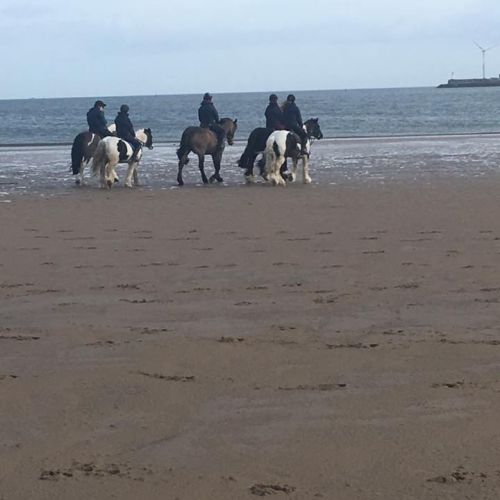 Gallery Field House Equestrian Centre