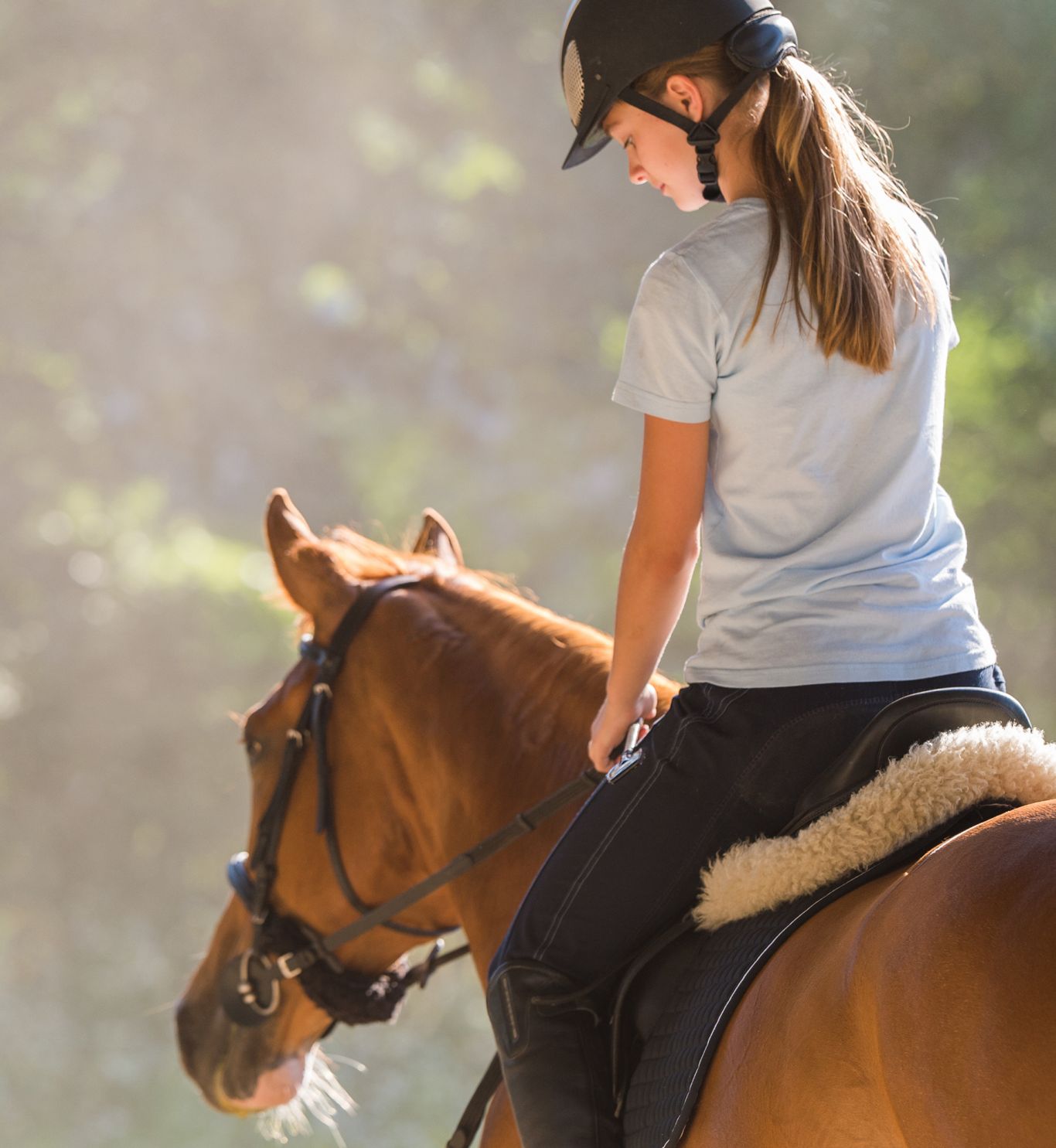 Field House Equestrian Centre